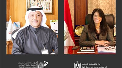 «المشاط» تبحث تعزيز التعاون مع المؤسسة العربية لضمان الاستثمار
