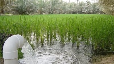 الاتحاد الأوروبي: مصر تتصدر دول أفريقيا والشرق الأوسط في استخدام المياه