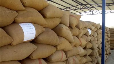 التموين تتسلم 237 ألف طن قمح