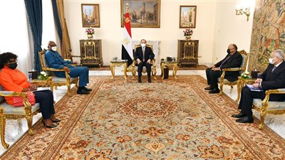السيسي يؤكد حرص مصر علي دعم الآلية الأفريقية لمراجعة النظراء