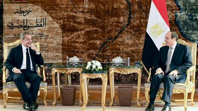 السيسي يستقبل نيكولا ساركوزي رئيس الجمهورية الفرنسية الأسبق
