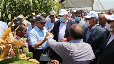 «القصير» يطلق فعاليات يوم الحقل السنوي لمحصولي الذرة الشامية والأرز بـ«سخا»