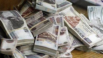 ضبط مسؤول بشركة أدوية وآخر لاستيلائهما على 9 ملايين و400 ألف جنيه 