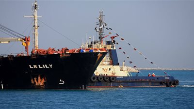 تداول 25 سفينة حاويات وبضائع عامة بموانئ بورسعيد