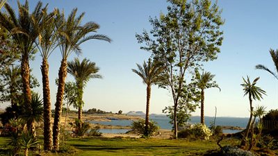 الأرصاد تعلن توقعاتها لحالة الطقس ودرجات الحرارة غدا 