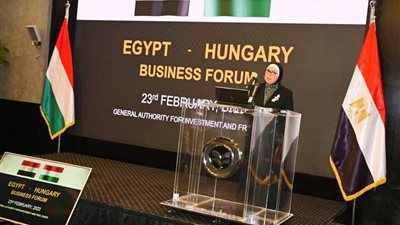 417 مليون دولار حجم التبادل التجاري بين مصر والمجر خلال 2021