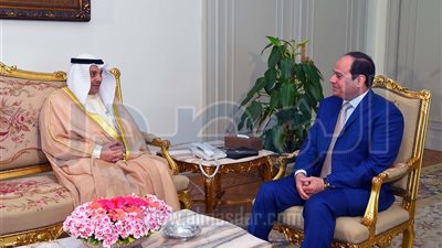 السيسي يبحث مع وزير العدل الكويتي جهود مكافحة الإرهاب