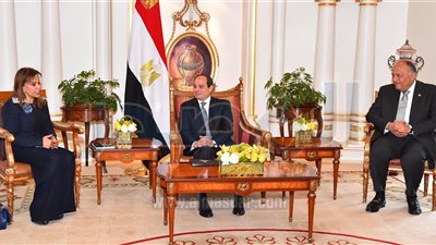 السيسي يلتقي أعضاء مجلس التعاون الاقتصادي بالكويت قبل توجهه للبحرين