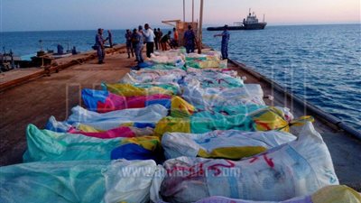 بالصور.. القوات البحرية تحبط تهريب 4 أطنان من البانجو في جنوب سيناء