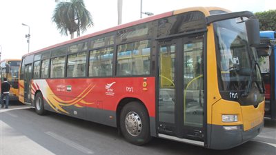 النقل العام: 30 أتوبيسًا جديدًا لدعم خطوط القليوبية 