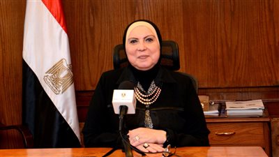 وزيرة التجارة تقرر إعادة تشكيل مجلس الأعمال المصري الجزائري