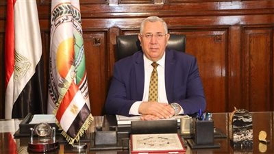 ارتفاع صادرات مصر الزراعية إلى مليون طن خلال شهرين