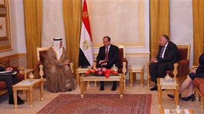 السيسي يبحث تعزيز التعاون البرلماني مع رئيس 