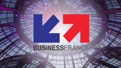 غدا.. 11 شركة فرنسية تزور مصر لعرض تجارب رواد الأعمال