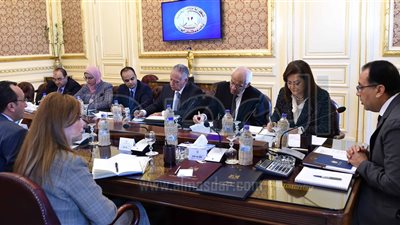 الحكومة تُجهز مبادرة رئاسية لتدريب الشباب الأفريقى