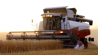 ميناء الإسكندرية يستقبل 27 ألف طن قمح روسي