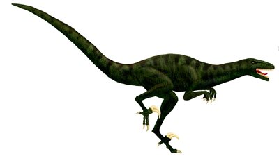 عمال مناجم أستراليون يعثرون على هيكل ديناصور من أكثر الأنواع ندرة