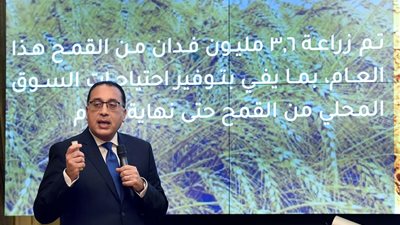 رئيس الوزراء: التنسيق مع الغرف التجارية لتأمين السلع الغذائية بأسعار عادلة