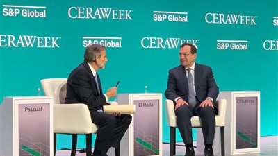 الملا: الشراكات الدولية عززت دور مصر في تأمين إمدادات الطاقة لشرق المتوسط