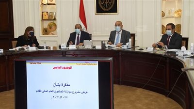 42 مليار جنيه موازنة صندوق الإسكان الاجتماعي لعام 2021-2022