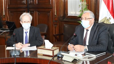 وزير الزراعة: مفاوضات مع اليابان لتصدير العنب والرومان