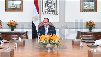 السيسى يؤكد الاستعداد لدعم 