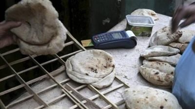 ضبط 13 مخبزا مخالفا في البحيرة