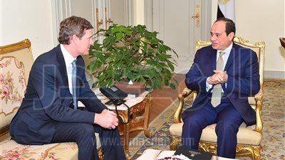 تفاصيل لقاء السيسي ورئيس شركة فيزا العالمية
