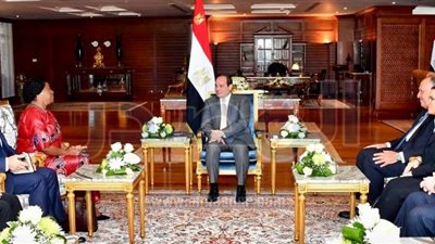 السيسي يبحث مع سكرتير 