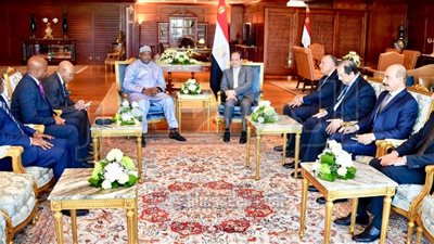 الرئيس يستقبل نظيره الجامبى لبحث تعزيز التعاون المشترك