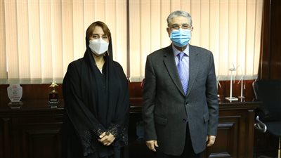 مباحثات مصرية - إماراتية لتعزيز التعاون بمجالات الكهرباء والطاقة المتجددة