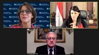 9.8 مليار دولار تمويلات تنموية لقطاعات الدولة والقطاع الخاص في 2020