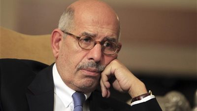 أول تعليق للبرادعي على حادث الطائرة المنكوبة