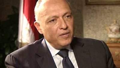 وزيرالخارجية يلتقى 