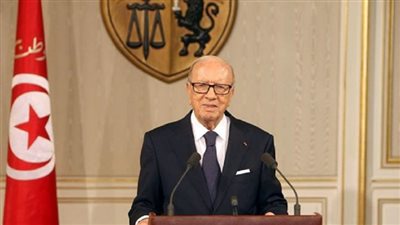الرئيس التونسي يصل مطار القاهرة للقاء 