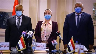 إنشاء مصنع لإنتاج خشب «MDF» من مخلفات النخيل بالوادى الجديد