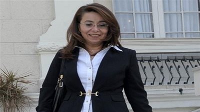 والي: 15 مليار جنيه مخصصات 