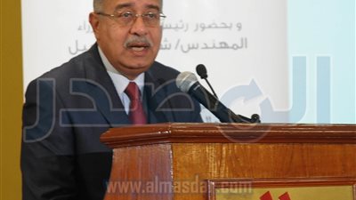 شريف إسماعيل يلتقي الرئيس التنفيذي لـ 