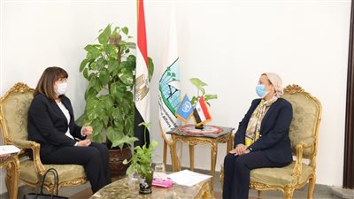 الأمم المتحدة: مصر نموذج ملهم للدول في مجال التخفيف من آثار التغيرات المناخية