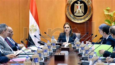 شريف إسماعيل يكلف منى زوبع برئاسة الهيئة العامة للاستثمار