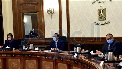 ملامح المشروع القومي لتنمية الأسرة المصرية