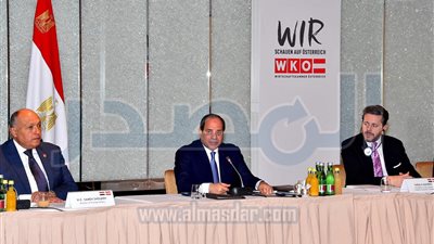السيسي يلتقى بعض رؤساء الشركات المصرية والنمساوية لبحث تعزيز الاستثمارات