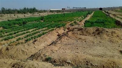 «المجتمعات العمرانية» تعيد فتح باب تقنين أراضي الحزام الأخضر في أكتوبر