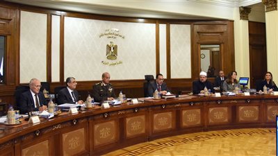 الحكومة توافق على اتفاقيات إقامة محطة توليد كهرباء من الفحم بعيون موسى