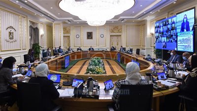 الحكومة تستعرض الخطة التنفيذية للمشروع القومي لتنمية الأسرة المصرية