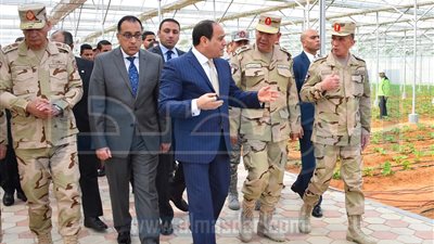 السيسي: إنشاء أكبر مزرعة تمور في العالم تضم 2,5 مليون نخلة