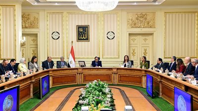 رئيس الوزراء يعقد اجتماعاً موسعاً لوضع حوافز الإسراع بتنمية سيناء