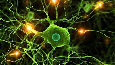 دراسة: خلايا في المخ تتسبب في النعاس