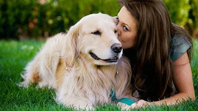 دراسة: الكلاب تتأثر بالسلوكيات السلبية لأصحابها