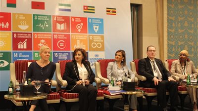 اختيار مصر ضمن 22 دولة بالعالم رائدة في التنمية المستدامة